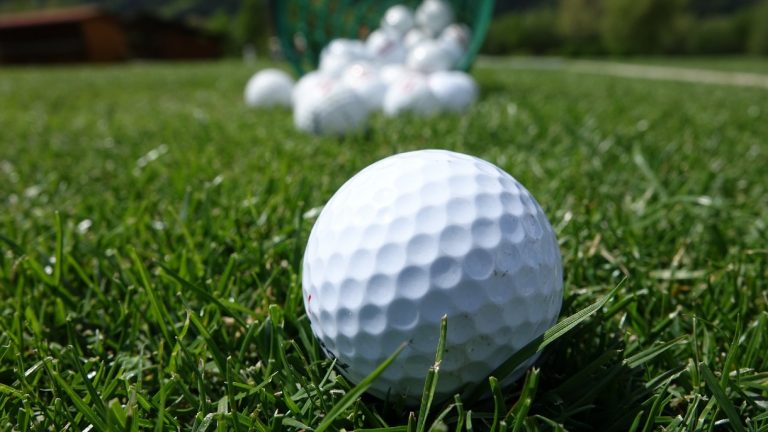 What Are Biodegradable Golf Balls Made Of?