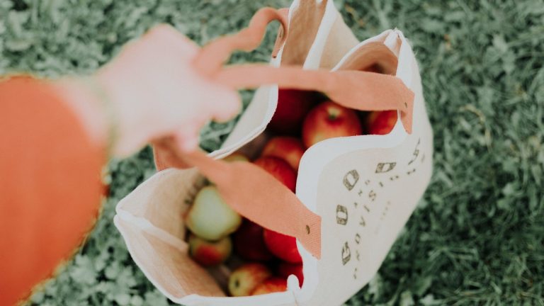 Which Type of Reusable Grocery Bags Are the Most Environmentally Friendly?