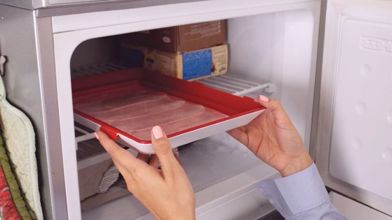 Can Reusable Food Preservation Trays Go In the Freezer