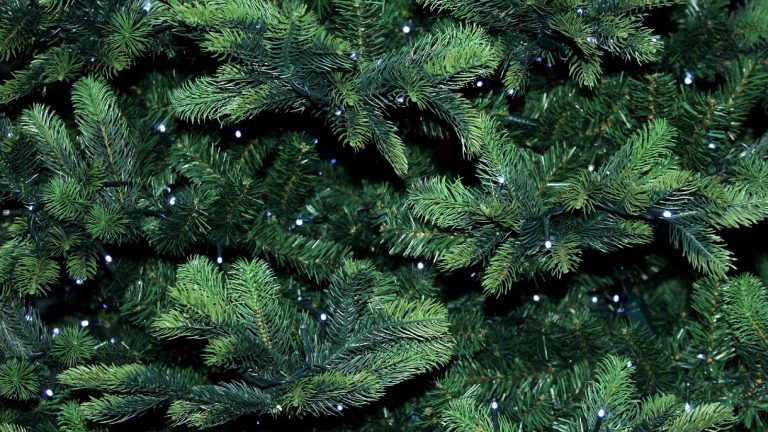 Can You Recycle Artificial Christmas Trees?