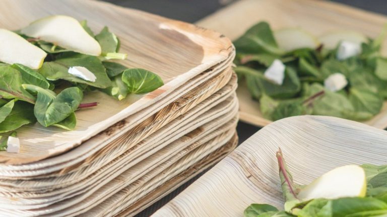 Are Palm Leaf Plates Recyclable or Compostable?