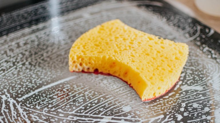 How Long Does It Take for a Kitchen Sponge to Decompose