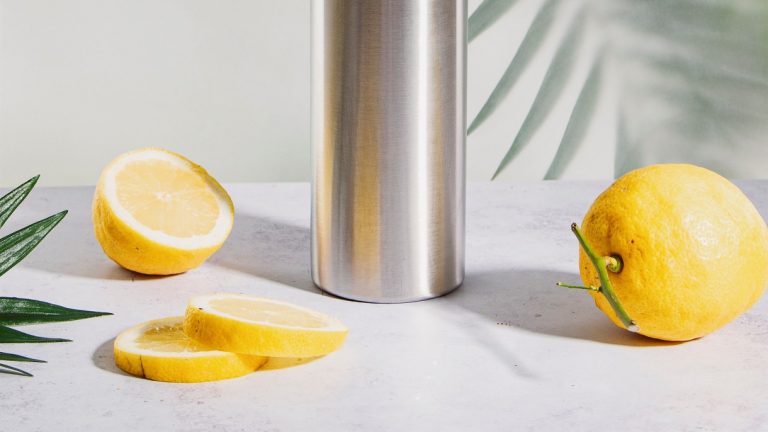 Can I Put Lemon in My Stainless Steel Water Bottle?