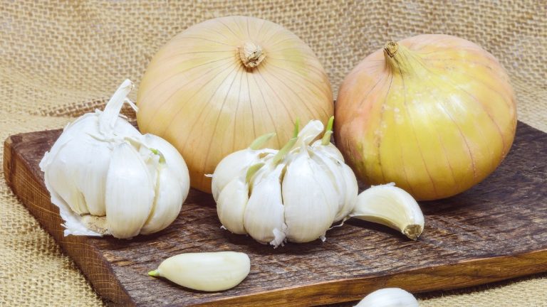 Can You Compost Garlic and Onions?