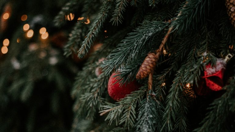 Are Real Christmas Trees Recyclable?