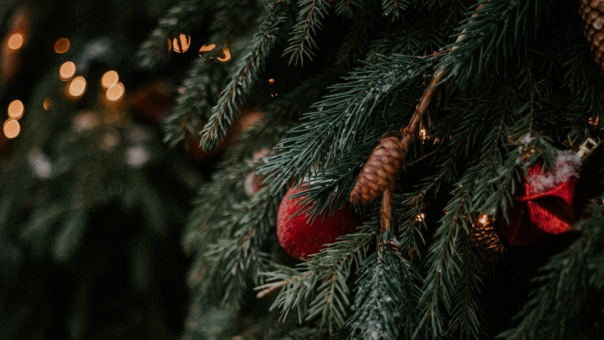 real Christmas tree for recycling