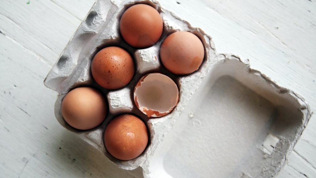 Are Egg Cartons Recyclable? SustainabilityNook