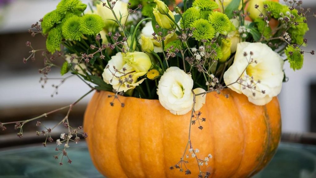How to Use Halloween Pumpkins as Planters | SustainabilityNook
