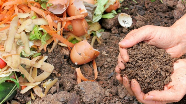 Can You Get Sick From Handling Compost?