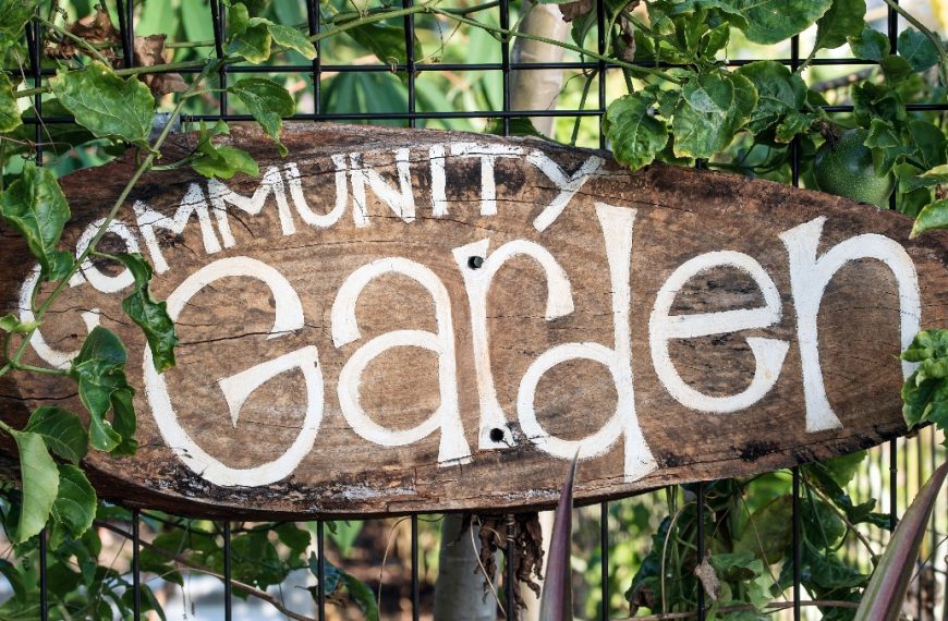 Why Community Gardens Are Good for the Environment