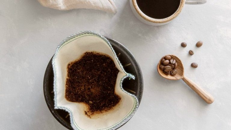 How Do You Clean a Moldy Reusable Coffee Filter?