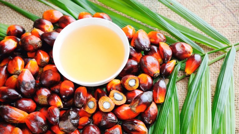 What Is the Problem With Palm Oil?