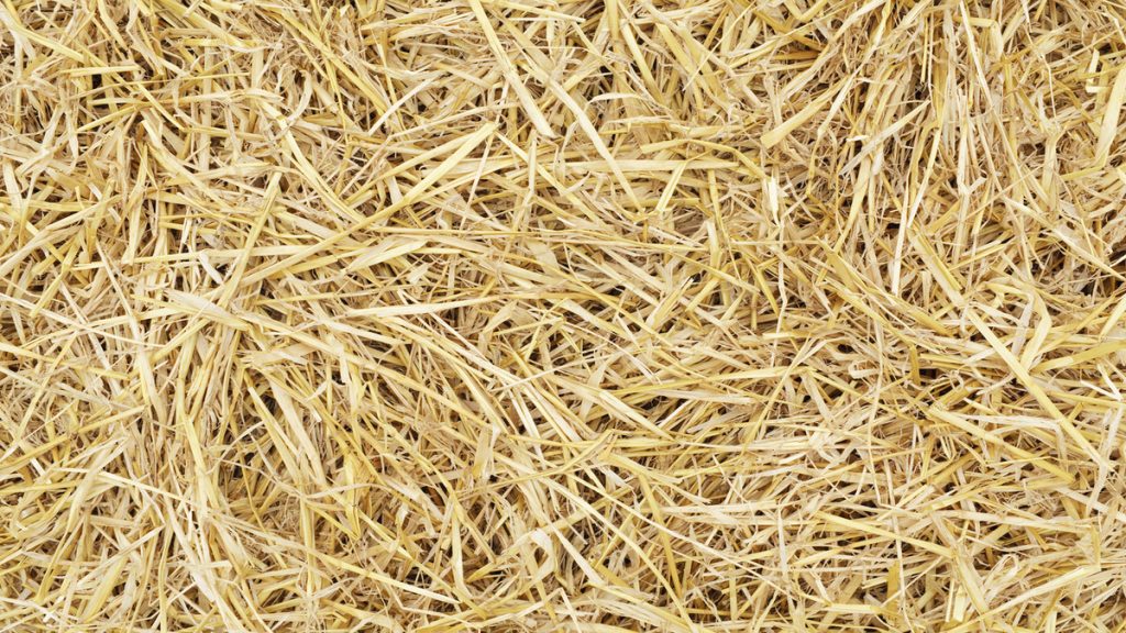 does-hay-or-straw-decompose-sustainabilitynook