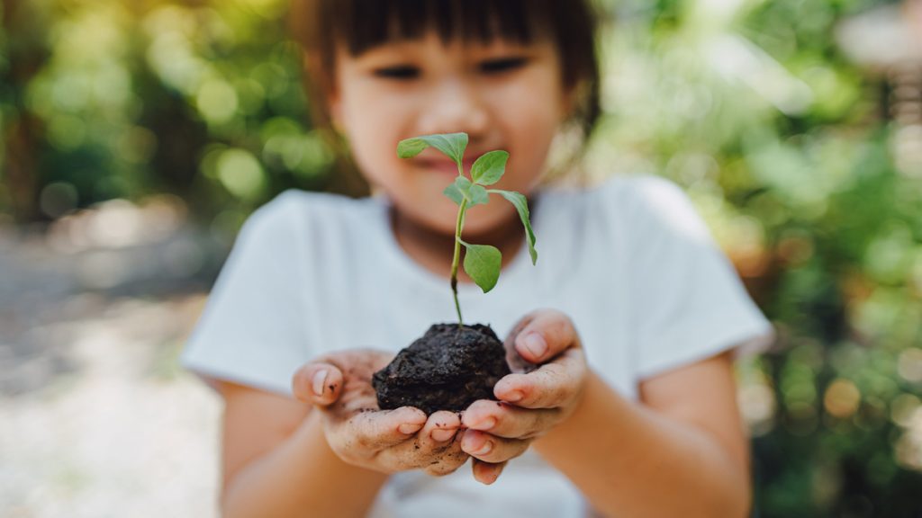 How Long Can You Use Old Potting Soil For? | SustainabilityNook