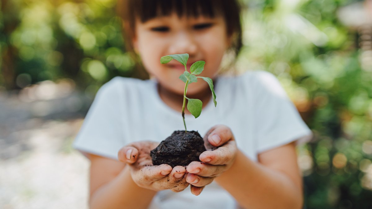 kid holding potting soil in his hands