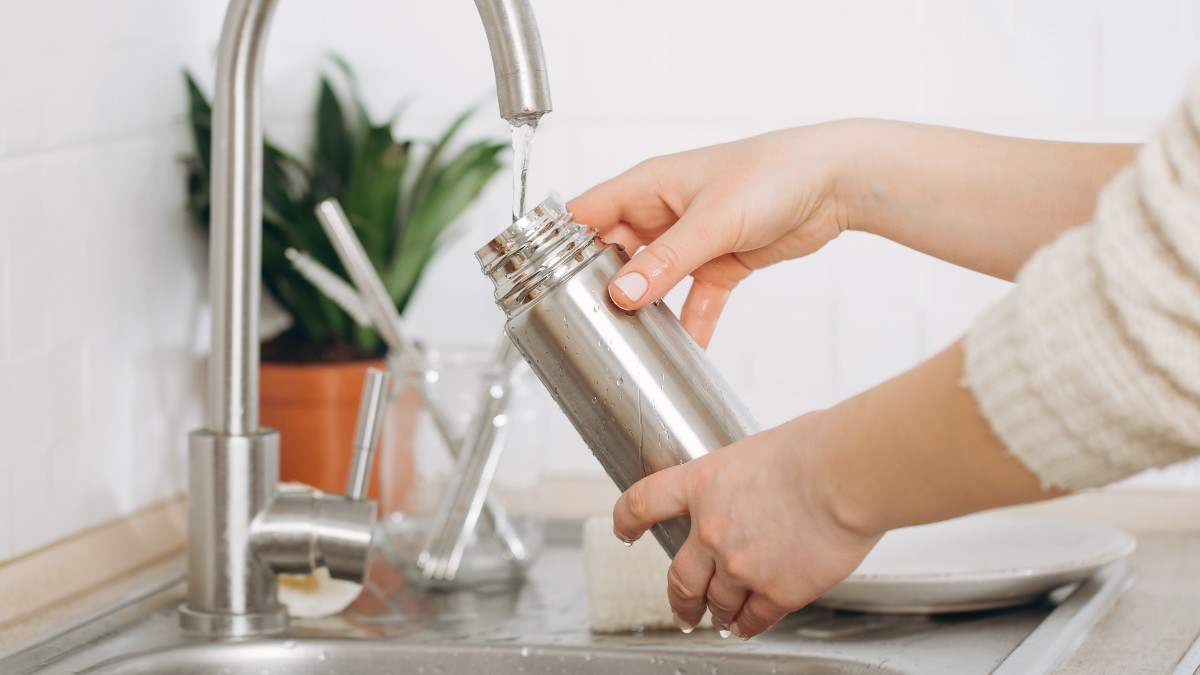 sanitizing stainless steel water bottle