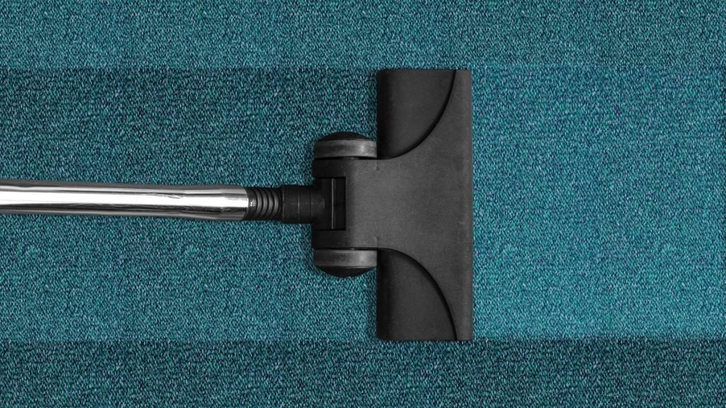 How to Fix a Smelly Carpet Using Baking Soda SustainabilityNook