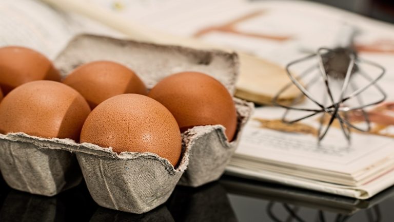 Are Free-Range Eggs Sustainable?